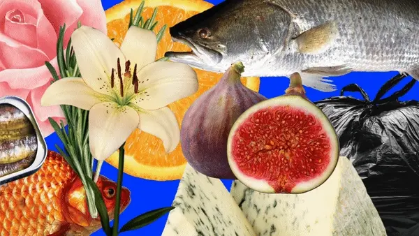Collage of lilies, figs, cheese, fish and colourful shapes