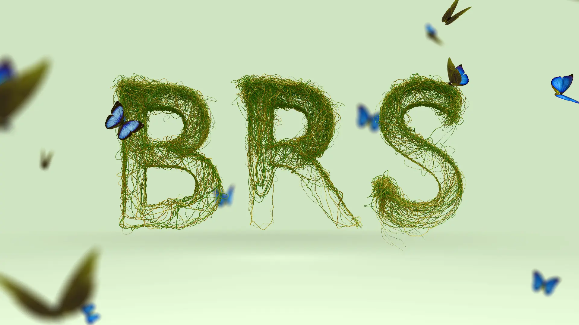 The letters "BRS" are formed from intertwined green vines, with blue butterflies resting on and flying around them. Battle Royal Studios