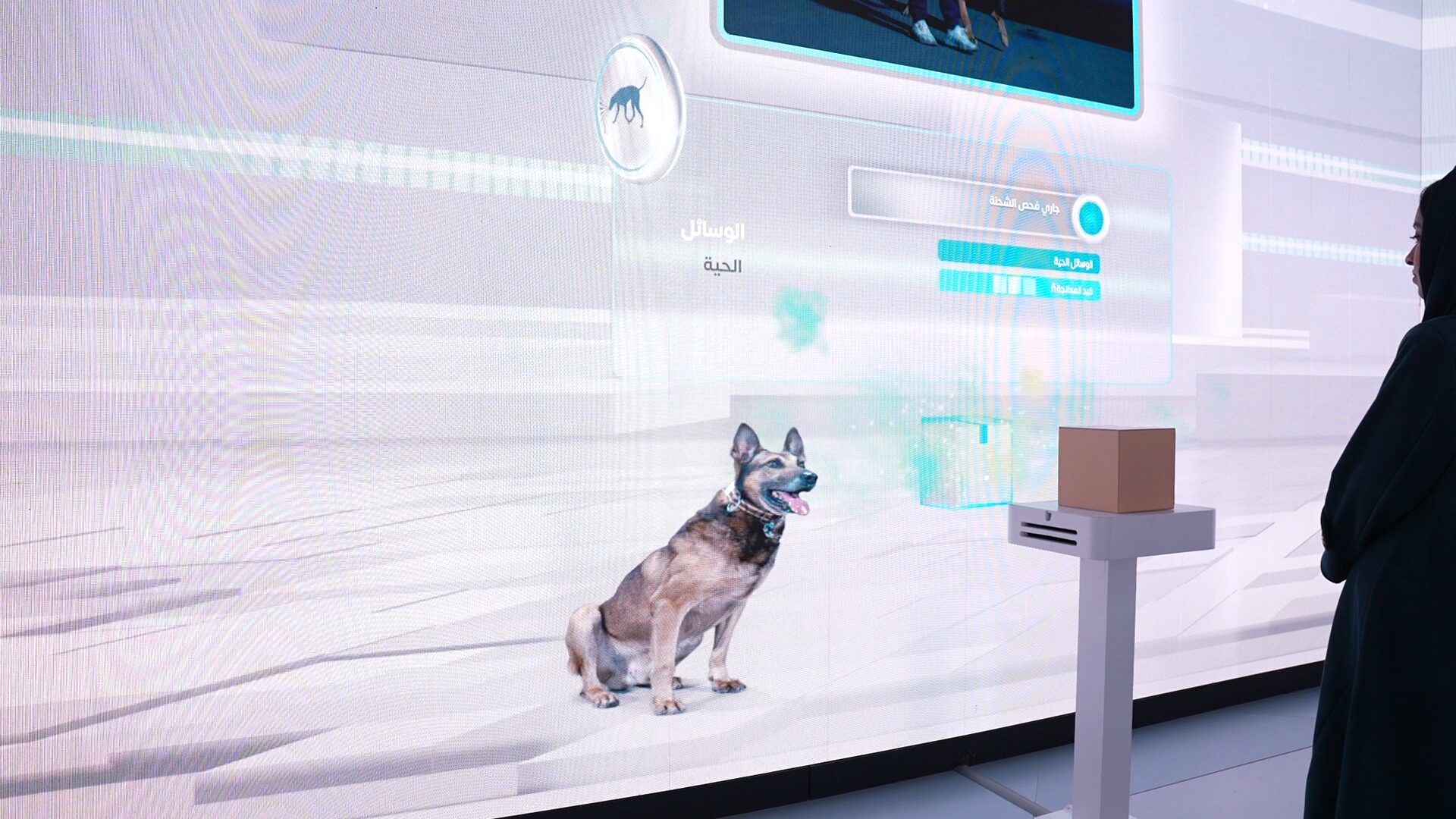 A white interactive wall shows an animated dog sitting beside a cardboard box on a stand, with a visitor watching on the right.